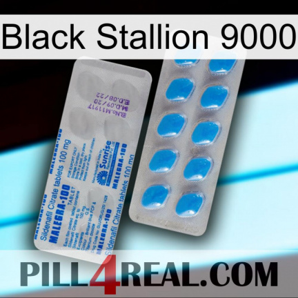 Black Stallion 9000 new15